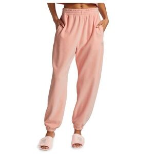 Alexander Wang Velour Sweatpants Size Small